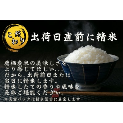 令和7年産新米予約「特別栽培米 ななつぼし(精白米)」真空パック 10kg(5kg×2袋)