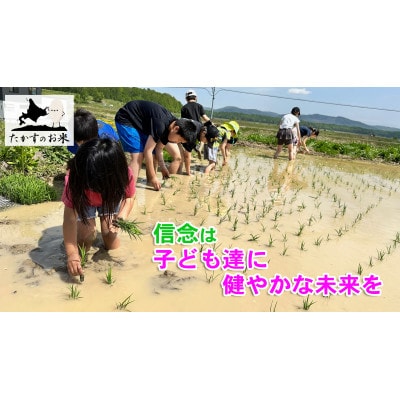 令和7年産新米予約「特別栽培米 ななつぼし(精白米)」真空パック 10kg(5kg×2袋)