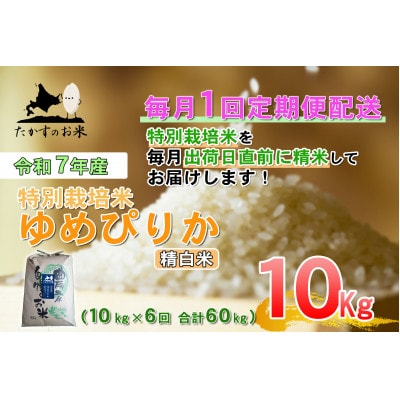 【発送月固定定期便】【令和7年産】特別栽培米「ゆめぴりか」定期便(精白米)10kg全6回