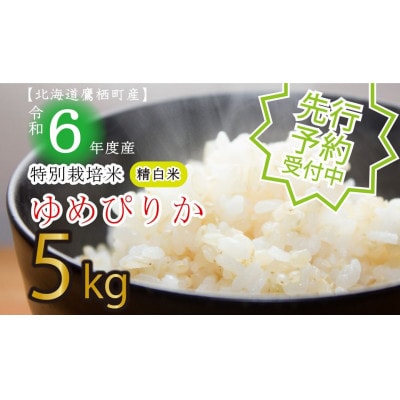 先行予約 令和7年産 たかすタロファームゆめぴりか【精白米】5kg SA115