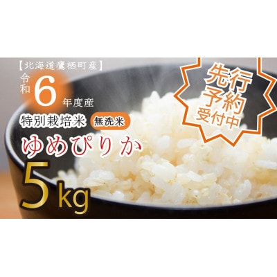 先行予約 令和7年産 たかすタロファームゆめぴりか【無洗米】5kg SA194