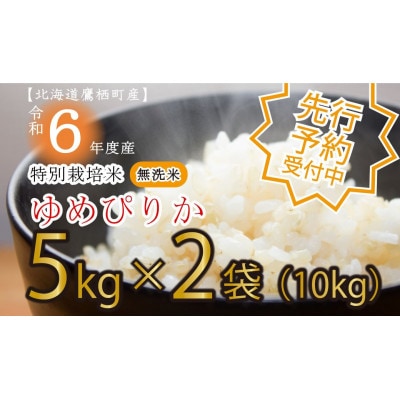 先行予約 令和7年産 たかすタロファームゆめぴりか【無洗米】10kg(5kg×2) SA195