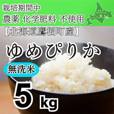 栽培期間中農薬不使用　令和6年産 たかすタロファーム ゆめぴりか【無洗米】5kg SA925