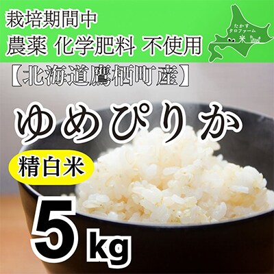 栽培期間中農薬不使用　令和6年産 たかすタロファーム ゆめぴりか【精白米】5kg SA926