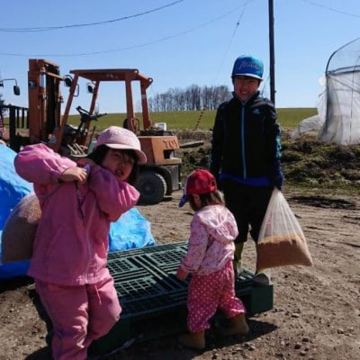 令和7年産 たかすタロファームななつぼし 5kg【精白米】(紙袋)