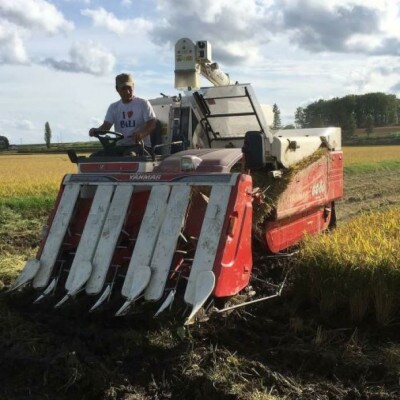 令和7年産 ななつぼし 5kg【玄米】(紙袋)