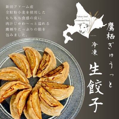 鷹栖ぎゅうっと冷凍生餃子 2袋セット