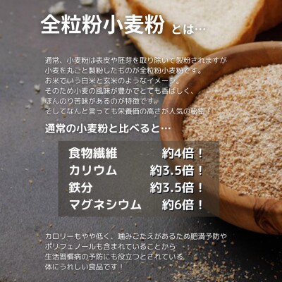 鷹栖ぎゅうっと冷凍生餃子 2袋セット