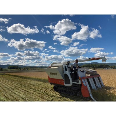 令和6年産 真空パック ゆめぴりか玄米5kg×4　計20kgセット SA200