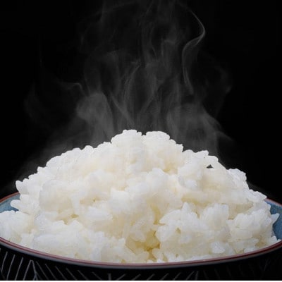 令和7年産 真空パック ななつぼし 白米 5kg×4 計20kgセット