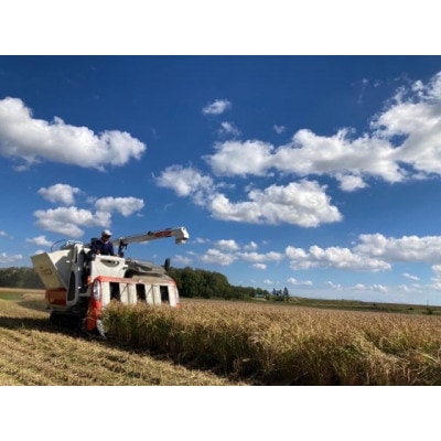 真空パック ななつぼし 無洗米 5kg×4 計20kgセット