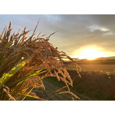 令和7年産 真空パック ゆめぴりか 白米2kg×6個