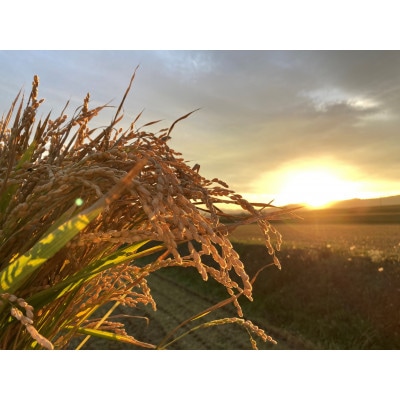 令和7年産 真空パック ゆめぴりか 無洗米2kg×6個
