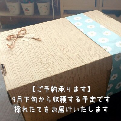 じゃがいも食べ比べ3キロセット!北海道鷹栖町よりお届け♪採れたてを畑から直送! SA208
