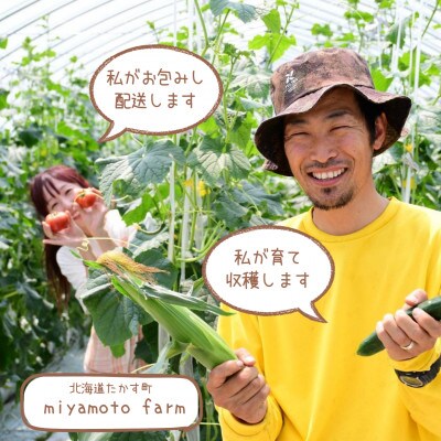 じゃがいも食べ比べ3キロセット!北海道鷹栖町よりお届け♪採れたてを畑から直送! SA208