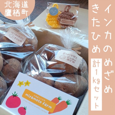 じゃがいも食べ比べ1キロセット!北海道鷹栖町よりお届け♪採れたてを畑から直送! SA951