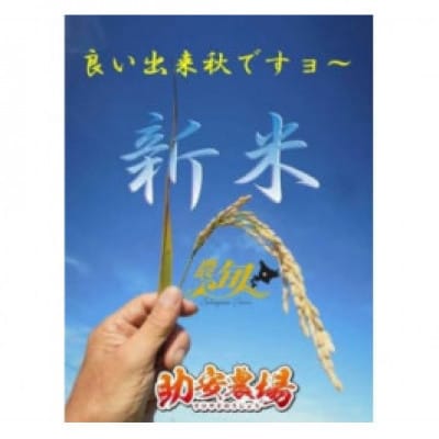 《先行予約》令和6年産助安農場の『玄米ゆめぴりか』5キロ SA902