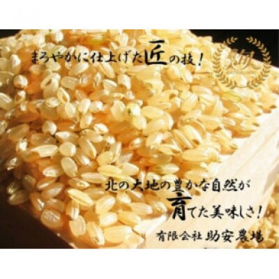 《先行予約》令和6年産助安農場の『玄米ゆめぴりか』5キロ SA902