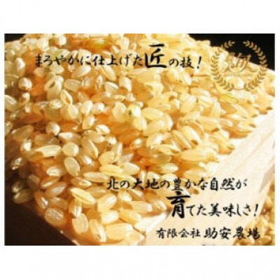 《先行予約》【玄米】令和6年産　助安農場のゆめぴりかとななつぼしのセット(各5kg) SA069