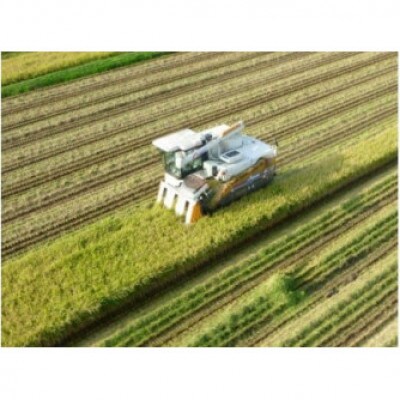 《先行予約》【玄米】令和6年産　助安農場のゆめぴりかとななつぼしのセット(各5kg) SA069