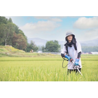 【令和6年産】ゆめぴりか特別栽培米　精白米10キロ　令和6年10月より順次発送!! SA211