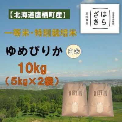 【令和6年産】一等米・特別栽培米　ゆめぴりか精米　10kg(5kg×2袋) SA971