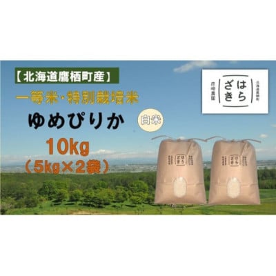 【毎月定期便】一等米・特別栽培 計60kg ゆめぴりか精米(5kg×2袋) SA975 全6回