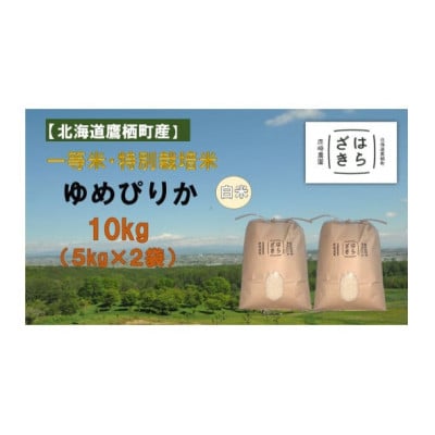 【毎月定期便】一等米・特別栽培 計120kg ゆめぴりか精米(5kg×2袋)SA976 全12回