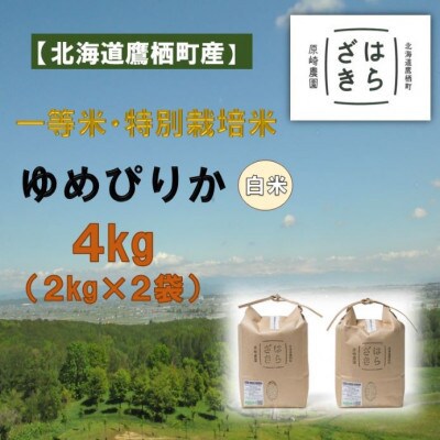 【毎月定期便】一等米・特別栽培 計24kg ゆめぴりか精米(2kg×2袋)SA977 全6回