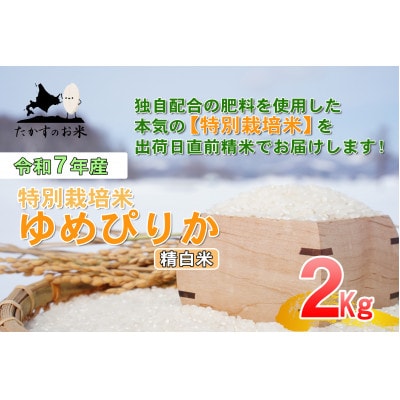 【令和7年産】たかすのお米「特別栽培米 ゆめぴりか」お試しサイズ 2kg(精白米)