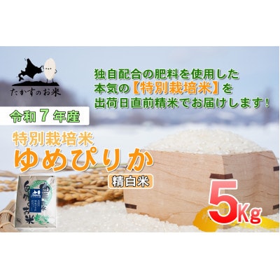 令和7年産新米予約 たかすのお米 特別栽培米 ゆめぴりか 5kg(精白米)