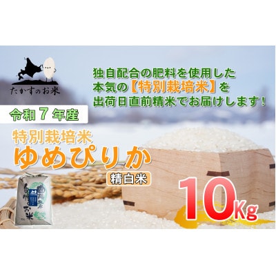 令和7年産新米予約 たかすのお米 特別栽培米 ゆめぴりか 10kg(精白米)