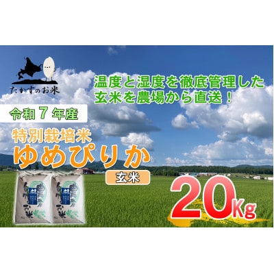 令和7年産新米予約 たかすのお米 特別栽培米 ゆめぴりか 玄米 20kg(10kg×2)