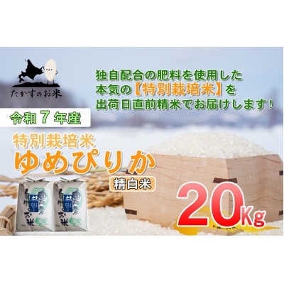 令和7年産新米予約 たかすのお米 特別栽培米 ゆめぴりか 精白米 20kg(10kg×2)