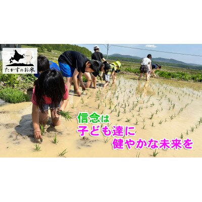 【令和八年産新米予約】たかすのお米「特別栽培米 ななつぼし」20kg(無洗米)