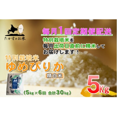 【毎月定期便】たかすのお米「特別栽培米 ゆめぴりか」5kg(精白米)全6回