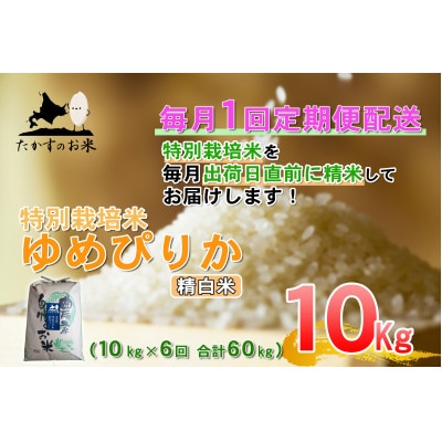 【毎月定期便】たかすのお米「特別栽培米 ゆめぴりか」10kg(精白米)全6回