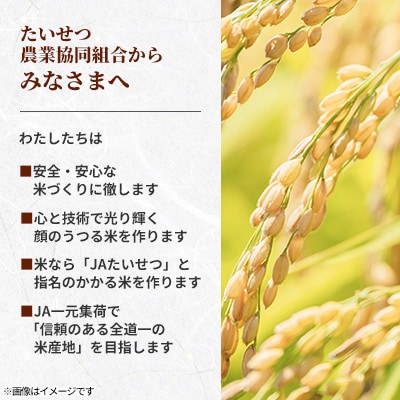 【毎月定期便】北海道鷹栖町 特Aななつぼし 精米 5kg全6回