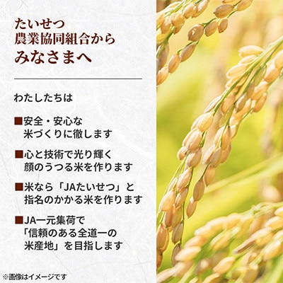 【毎月定期便】北海道鷹栖町 特Aななつぼし 精米 5kg全3回