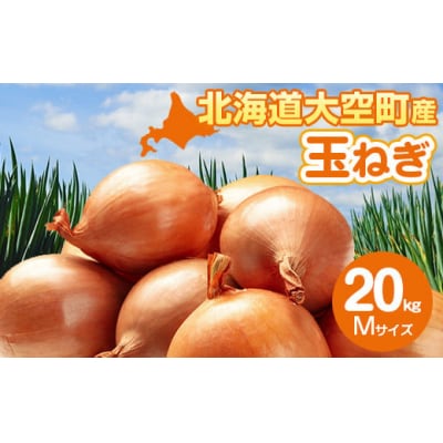 【先行受付】玉ねぎ Mサイズ 20kg 大空町産(2025年10月上旬より発送)