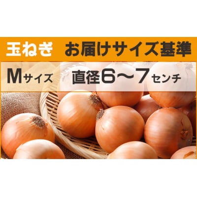 【先行受付】玉ねぎ Mサイズ 20kg 大空町産(2025年10月上旬より発送)