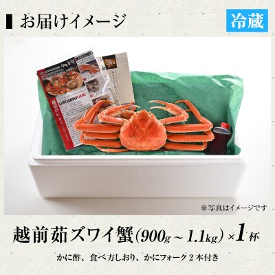 【11月より順次発送】老舗カニ料理店の「越前ずわいがに」大1杯(900g～1.1Kg)