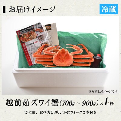 【12月発送】福井の老舗カニ料理店の「茹で越前がにズワイガニ」中1杯(700g～900g)