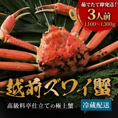【11～12月に発送】福井カニ料理店「茹で越前がにズワイ蟹」大大1杯(1.1～1.3kg、姿で発送)
