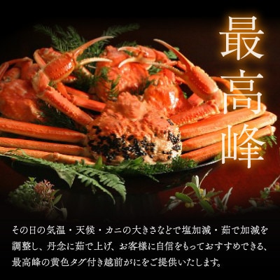 【12/20～年末出荷】福井の老舗カニ料理店「茹で越前がにズワイ蟹」大大1杯(1.1～1.3kg)