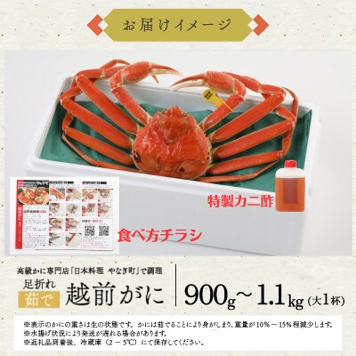 (12/2～順次発送)老舗カニ料理店「茹で越前ズワイ蟹」大1杯(900g～1.1kg) 訳あり足折有