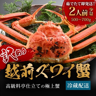 【11月発送】老舗カニ料理店の訳あり「茹で越前がにズワイ蟹」小1杯(500g～700g) 足折あり