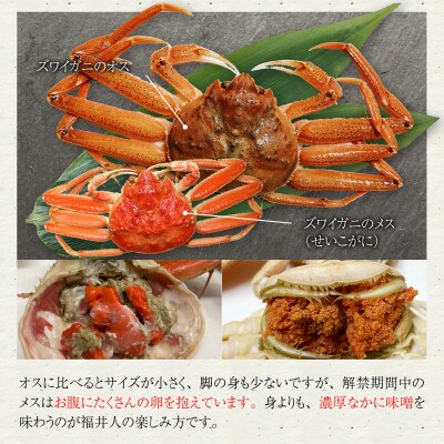 蟹好きにおすすめ!老舗カニ専門店の「セイコガニ大サイズ(200～240g)2杯」