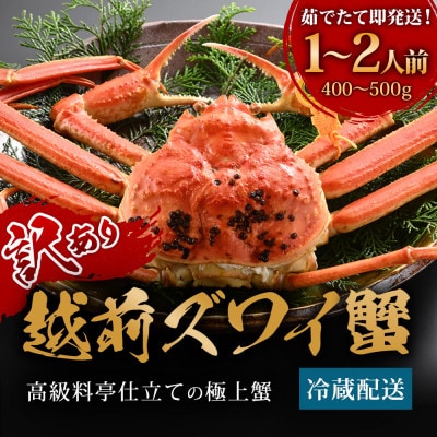 【1～3月に発送】蟹料理店の訳あり「茹で越前がにズワイガニ」ミニ1杯(400～500g、姿で発送)