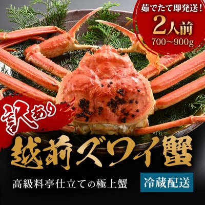 【1～3月に発送】福井の蟹料理店の訳あり茹で越前がにズワイガニ 中1杯(700～900g、姿で発送)